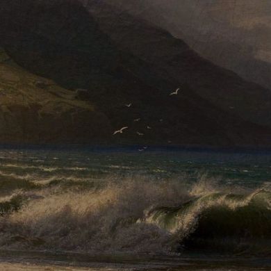 Maryam Numanova Profile Picture