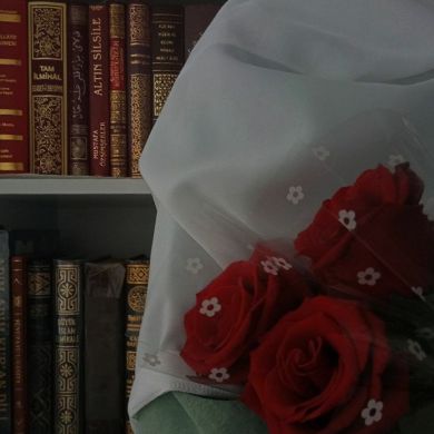 efide efidetun Profile Picture