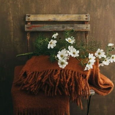 Suhrob Abdulla Profile Picture