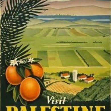 moha baa Profile Picture