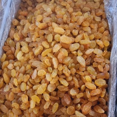 Javokhir Aslamov profile picture