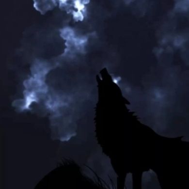 Muchammad ismailov Profile Picture