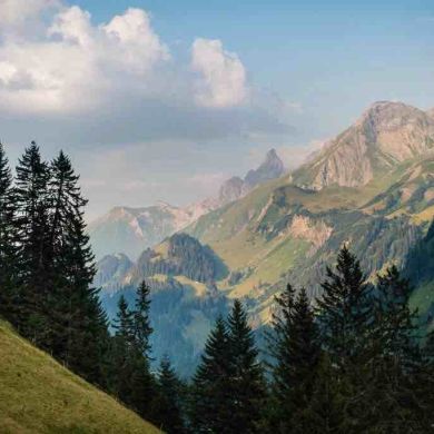 aminasea Profile Picture