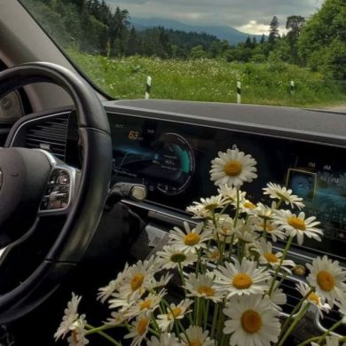 Muvahhid1 Profile Picture