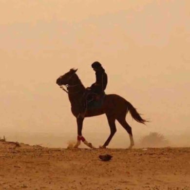 jahongir_pulatov Profile Picture