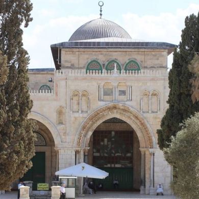 Umid Sarmonov Profile Picture