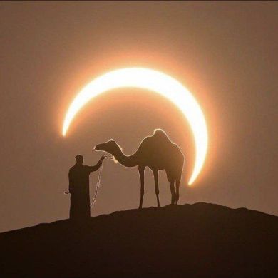 Shaxzodbek Tojiboyev