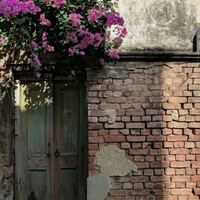 Guljahon Aminjonova Profile Picture