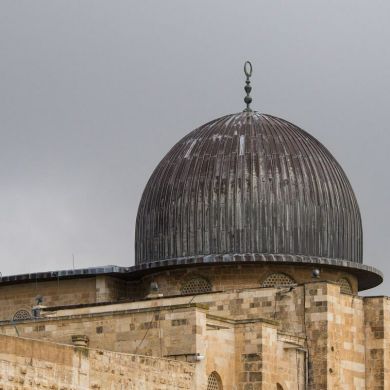 اسدالله ساری Profile Picture