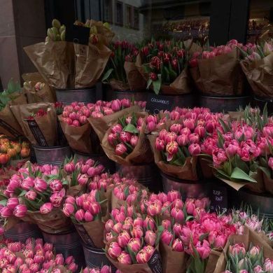 Дилфуза Асилхонова