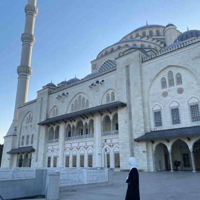 ش ن Profile Picture