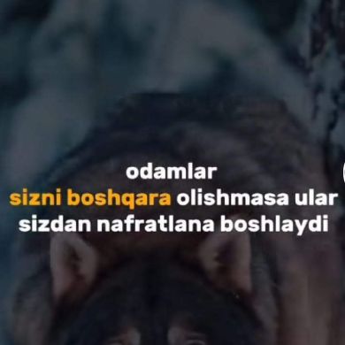 Odiljon Abdurazzoqov Profile Picture