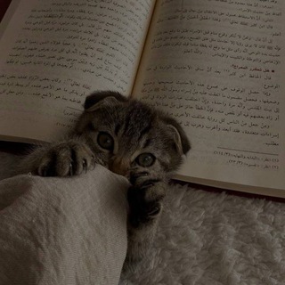 Telegram: Contact @ummu_amiyna