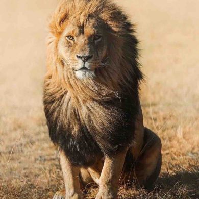 Murodjon Mamaziyayev profile picture