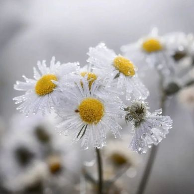 Ruxsorabonu Ulugbekovna