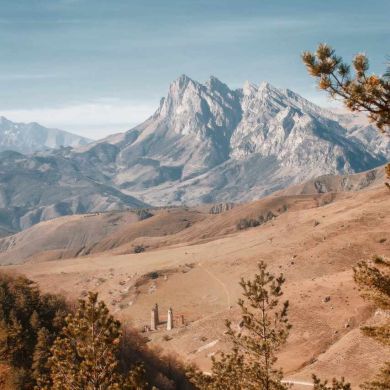 Адам Ибрагимов Profile Picture