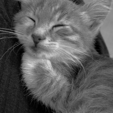 karimovas.m Profile Picture