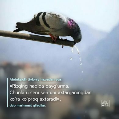 gulshanoy tadjimaham