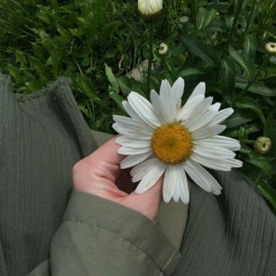 maloxat bintu Shuxrat