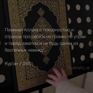 Таифа Магомедова Profile Picture