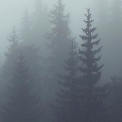 Ilkhom Ismatullaev Profile Picture