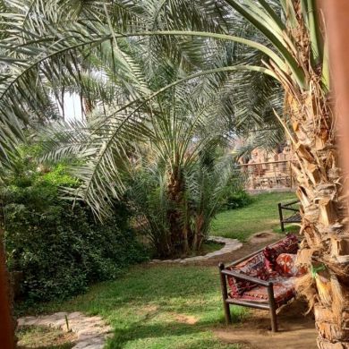 Qudrat Akromov Profile Picture