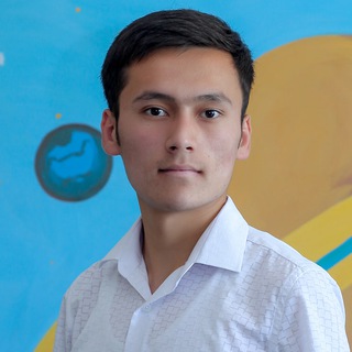 Telegram: Contact @m1rzo_dev