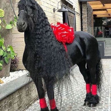 MotabarQayumova Profile Picture