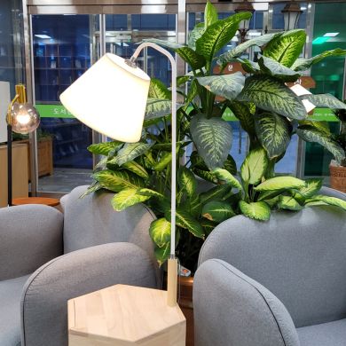 Jahongir Uchkun ugli Profile Picture