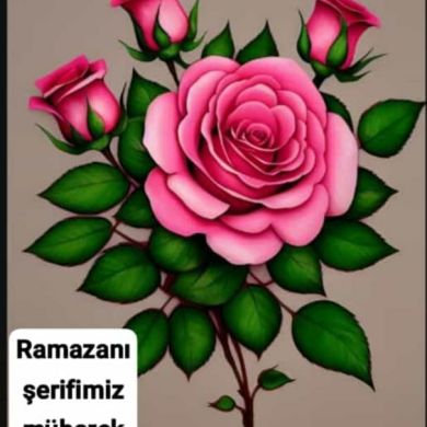 Jamshid Mashrabboyev Profile Picture