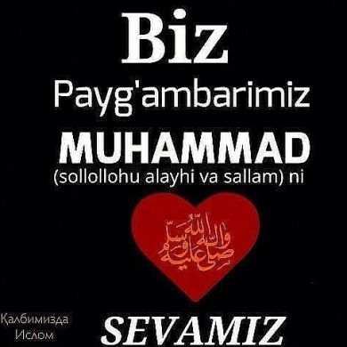 Faroxat Tursunova Profile Picture