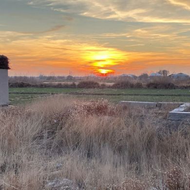 Зульфия Гафарова