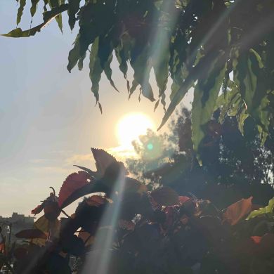 Sayyid Akromxon Azha