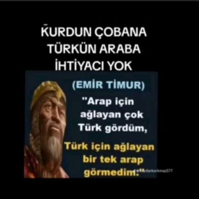 shunchakiy Inson profile picture