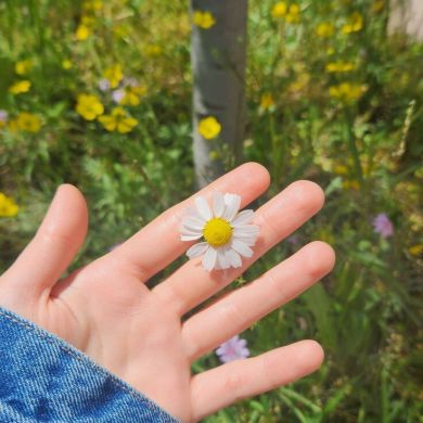 Dilfuzaxon Baxtiyorz