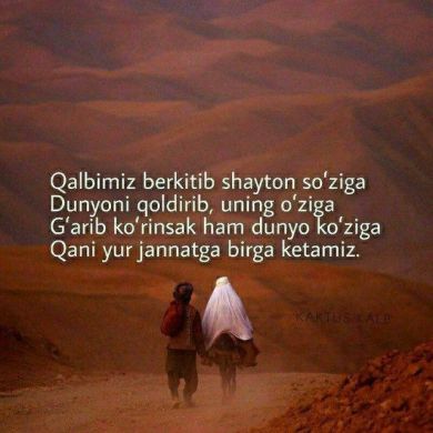 Otabek Kamolov Profile Picture