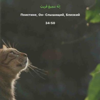 gurrhj Djywq Profile Picture