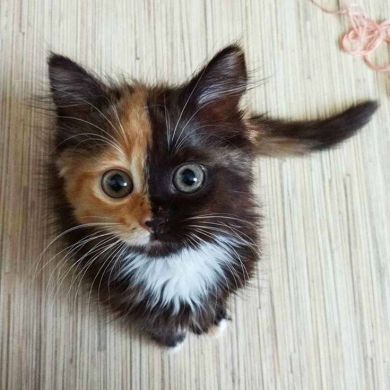 life_sunnah Profile Picture