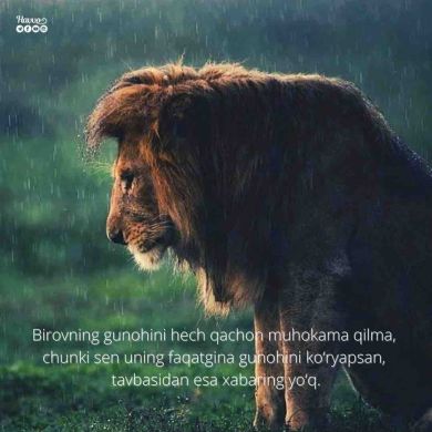 Rohmatulloh Lutfiy Profile Picture