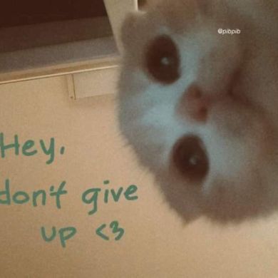 dina_abdelghani Profile Picture