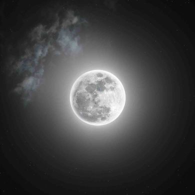 Ibrokhim Shukhratovi