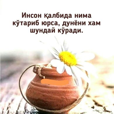 Muzaffar181181 Profile Picture