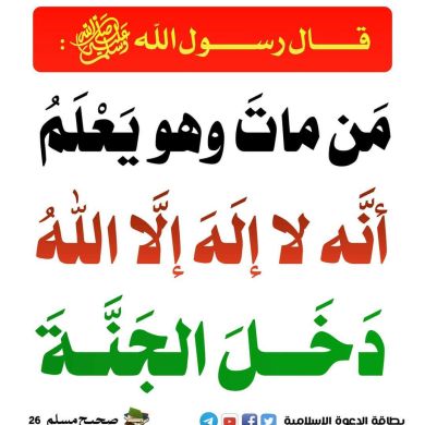 Nasir Jemal Profile Picture