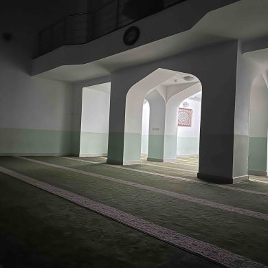 Amina Aminova profile picture