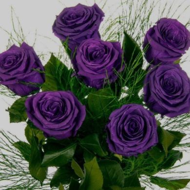 Iroda Fayzullayeva Profile Picture