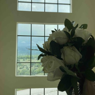 Nadiye Aykurt Profile Picture