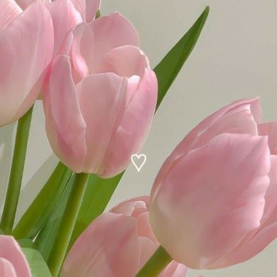 Bintu Odiljon Profile Picture