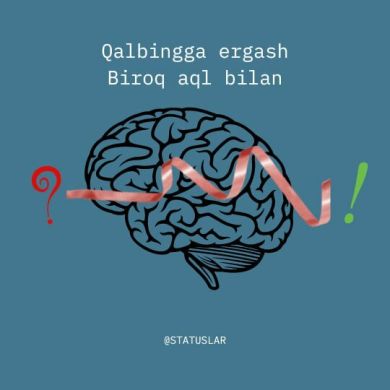 Shaxboz Normurodov Profile Picture