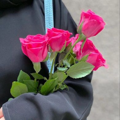 Tolibatul Ilm Profile Picture