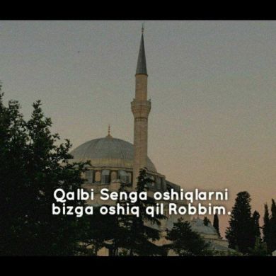 حسن نظام الديناف Profile Picture